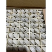 OMRON 欧姆龙 电极棒及周边部件 F03-14 1P SEPARATOR