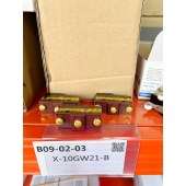 OMRON 欧姆龙 一般用基本开关 X-10GW21-B