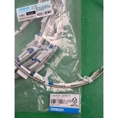 OMRON 欧姆龙 温度传感器系列 E52-CA1GTY 1M