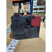 OMRON 欧姆龙 电磁锁定安全门开关 D4JL-2NFA-C5
