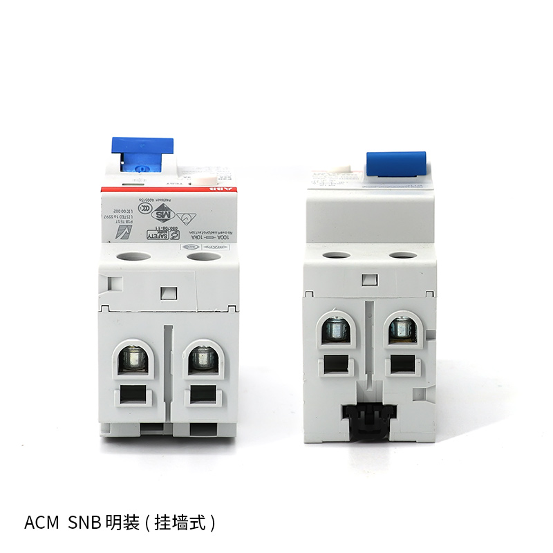 ABB F202 A-100/0.1