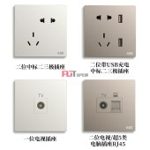 ABB 开关插座 轩致系列 雅典白 二位带USB充电中标二三极插座10A AF293