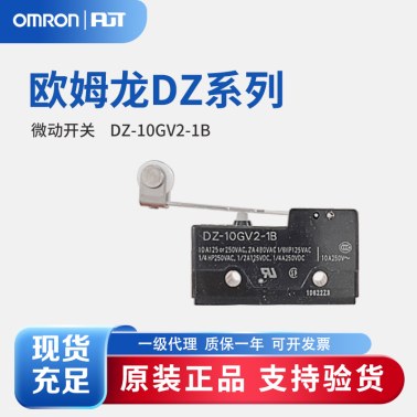OMRON 欧姆龙 微动开关 特殊用标准型开关 DZ-10GV2-1B