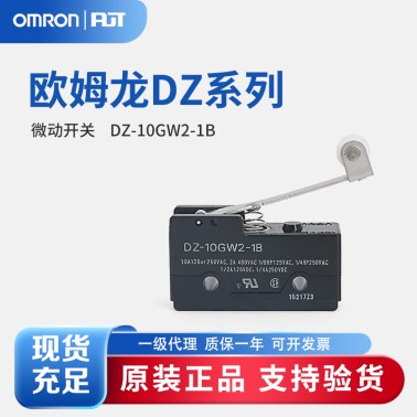 OMRON 欧姆龙 微动开关 特殊用标准型开关 DZ-10GW2-1B
