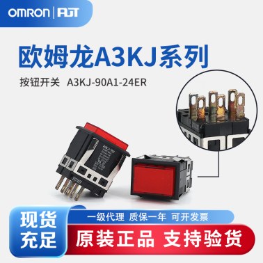 OMRON 欧姆龙 按钮开关 A3KJ-90A1-24ER
