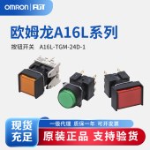 OMRON 欧姆龙 按钮开关 A16L-TGM-24D-1